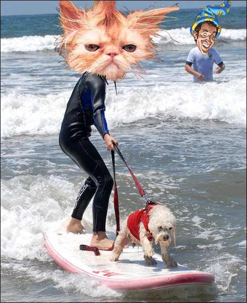 Image placeholder title